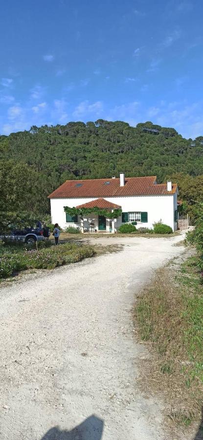 Al- Quinta Dos Carvalhais Rio Maior Buitenkant foto